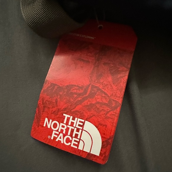 The North Face daypack backpack - Picture 10 of 11